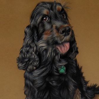 Kutya rajzok, portrérajzok, egyedi emlék a kutyádról, ajándékötlet kutyásoknak, kutya gazdiknak. Rajz a kutyádról fotó alapján.