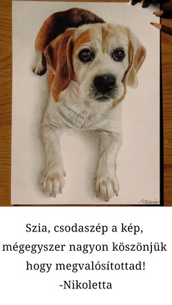 viradzsart