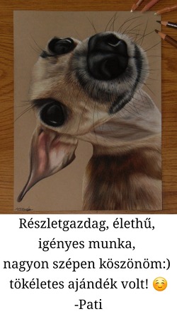 Ajándék férfiaknak, nőknek, pároknak, szülőknek, nagyszülőknek, egyedi ajándékötlet a fotód alapján megrendelésre. Tökéletes ajándék gazdiknak, lovasoknak, kutyásoknak, macskásoknak, cicásoknak, emlékbe.