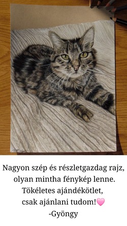 viradzsart